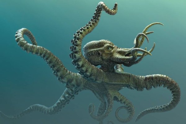 Kraken зеркало kraken link top