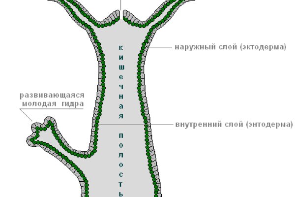 Kraken рабочая ссылка 2025